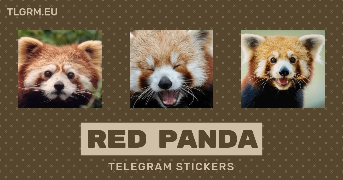 Red Panda Stickers Set For Telegram