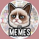 Avatar of @justmemes