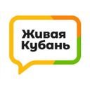 Avatar of @live_kuban