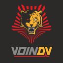Avatar of @voin_dv