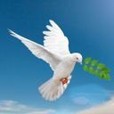 Галина Царёва (официальный) (Galina_Tsareva_official) • Posts and