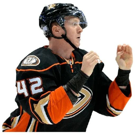 Sticker “Anaheim Ducks-10”