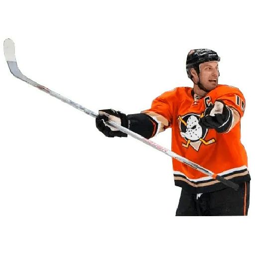 Sticker “Anaheim Ducks-7”