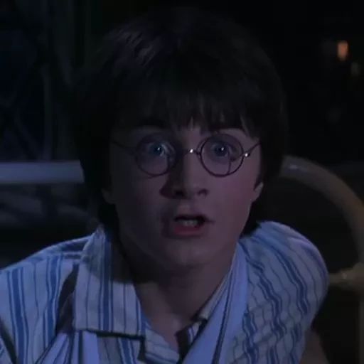 Sticker “Garry Potter 2-5”