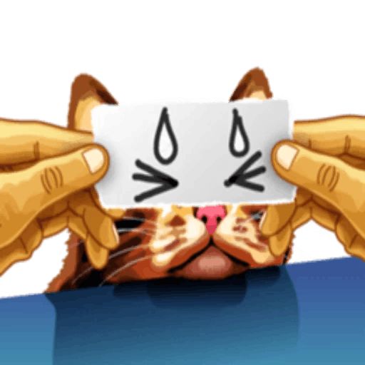 Sticker “Meme The Cat-3”