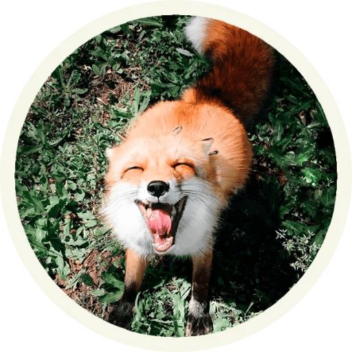 Sticker “Fox-10”