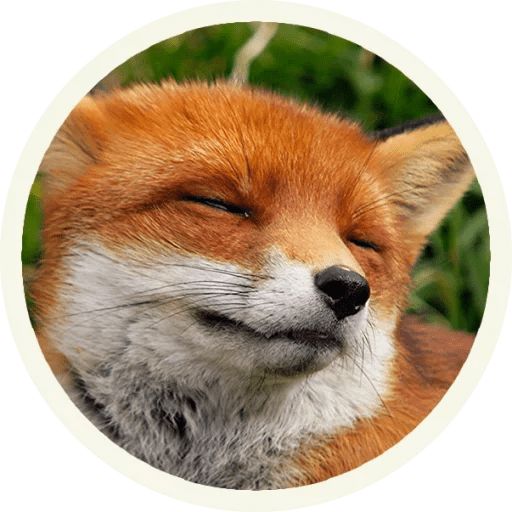 Sticker “Fox-7”