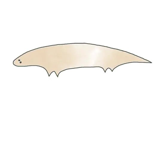 Sticker “Animals-11”