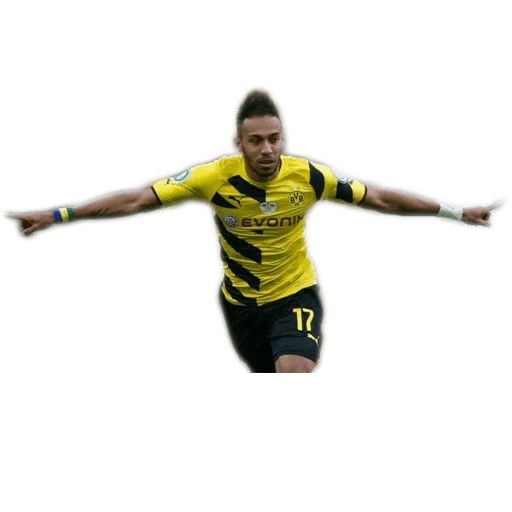 Sticker “Borussia Dortmund-2”