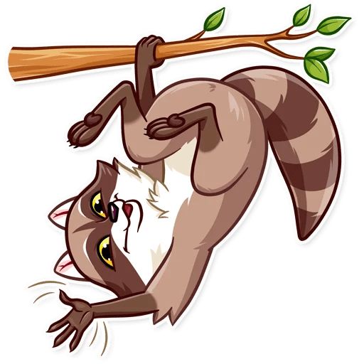 Sticker “Bandit Raccoon-5”