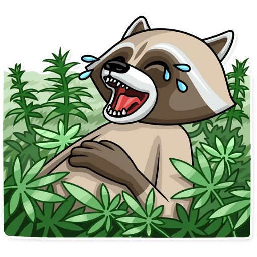 Sticker “Criminal Raccoon-1”