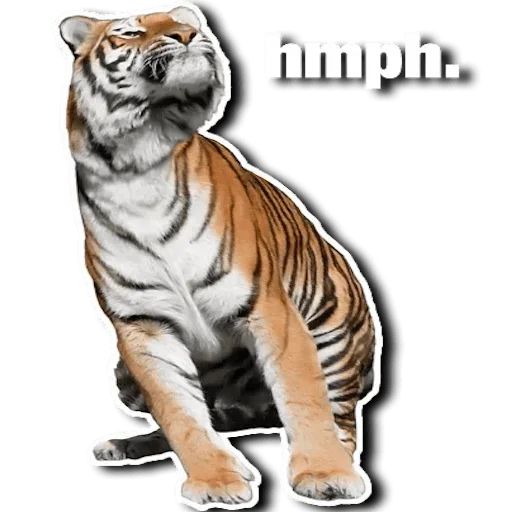 Sticker “Tiger-10”