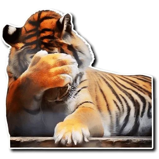 Sticker “Tiger-2”