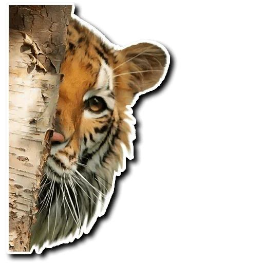 Sticker “Tiger-3”