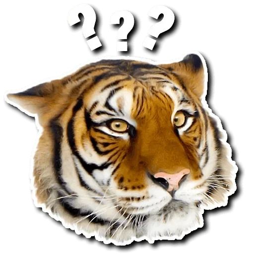 Sticker “Tiger-5”