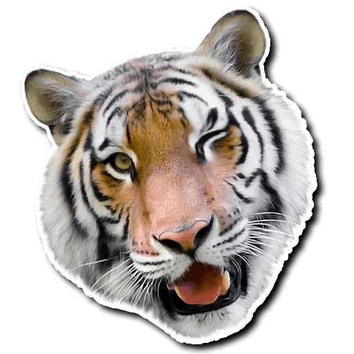 Sticker “Tiger-7”