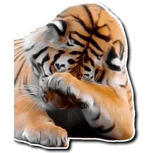 Sticker “Tiger-9”