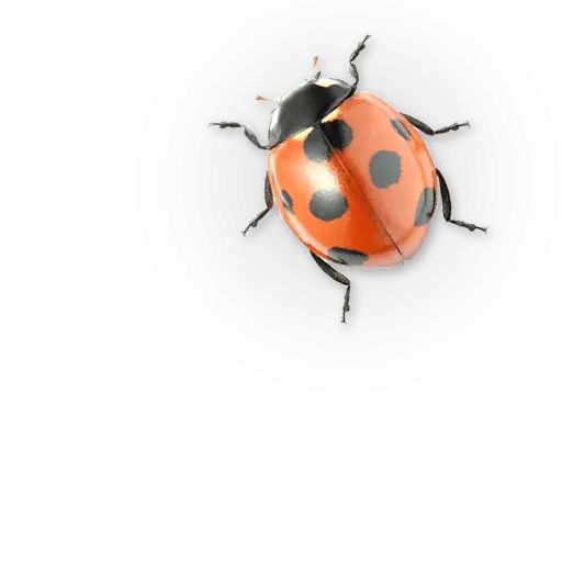 Sticker “Insects-3”