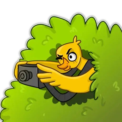 Sticker “MMD ducks-10”