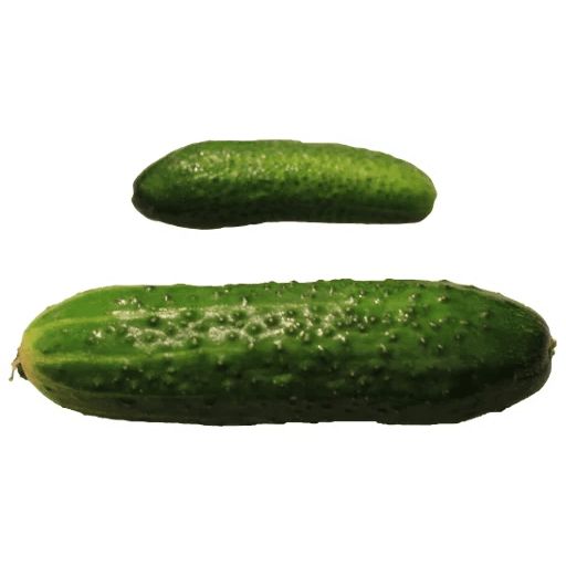 Sticker “Cucumber-10”