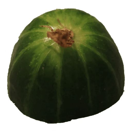 Sticker “Cucumber-11”