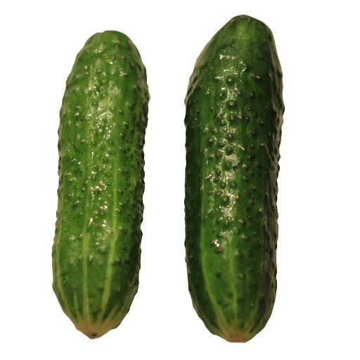 Sticker “Cucumber-3”