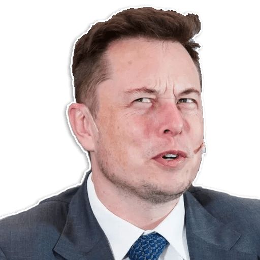 Sticker “Elon Musk-12”