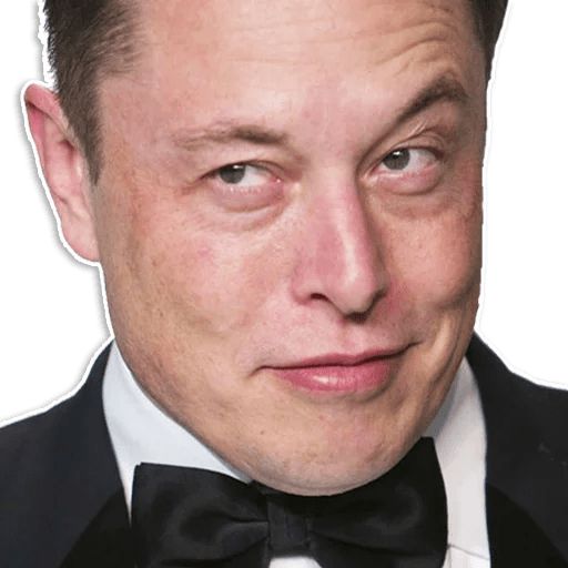 Sticker “Elon Musk-2”