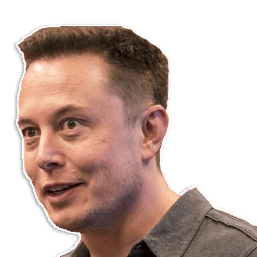 Sticker “Elon Musk-5”