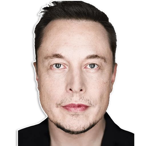 Sticker “Elon Musk-9”