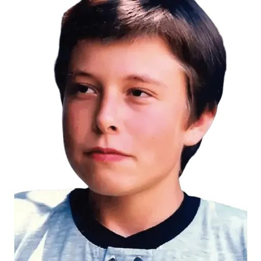 Sticker “Elon Musk-12”