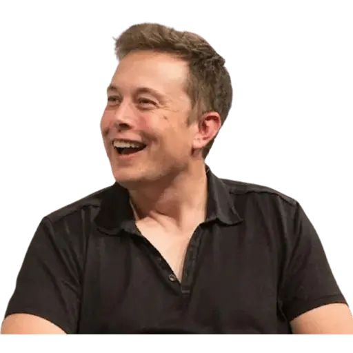 Sticker “Elon Musk-3”