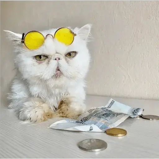 Sticker “Cat Lesha-7”