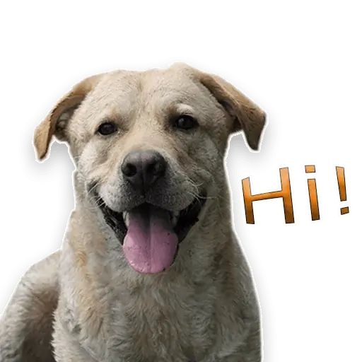 Sticker “Rap Dog-1”