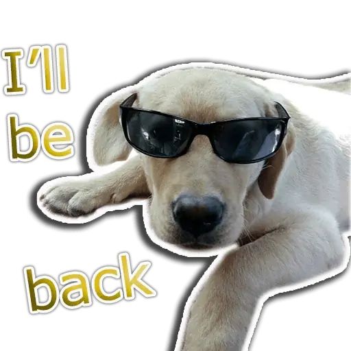 Sticker “Rap Dog-10”