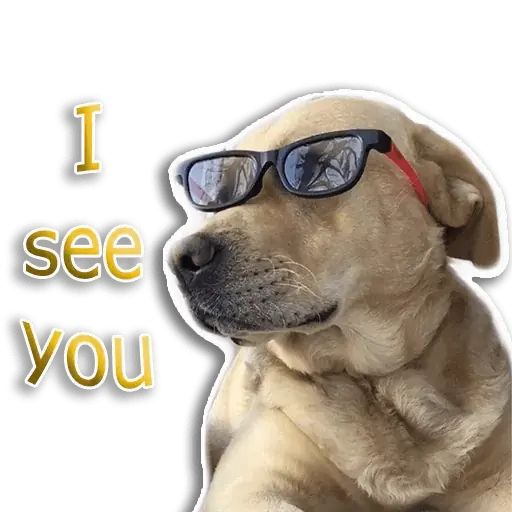 Sticker “Rap Dog-4”