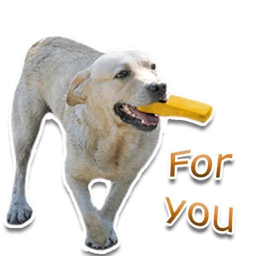 Sticker “Rap Dog-5”