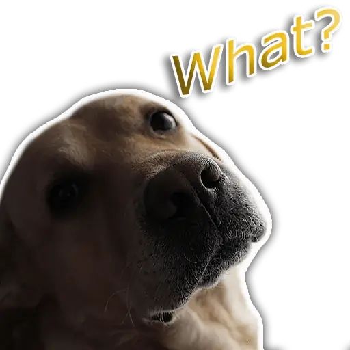 Sticker “Rap Dog-6”