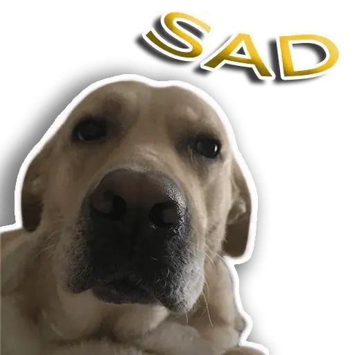 Sticker “Rap Dog-8”