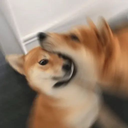 Sticker “Doggos-12”