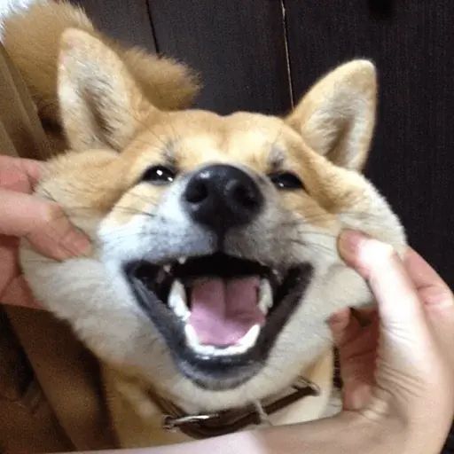Sticker “Doggos-5”