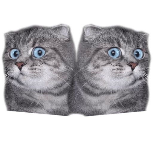 Sticker “Surprised Cat-3”