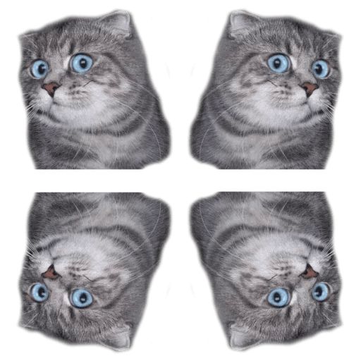 Sticker “Surprised Cat-4”