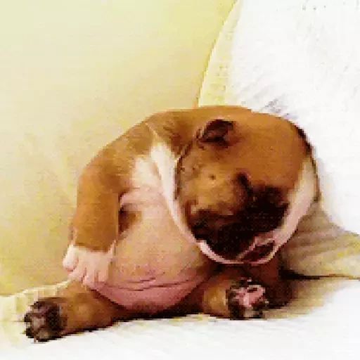 Sticker “Sleeping Dogs-4”