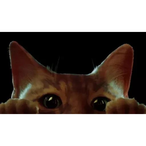 Sticker “Stray-1”
