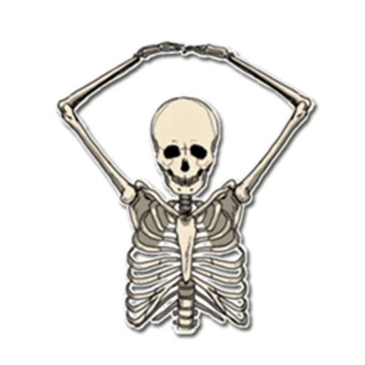 Sticker “Skeleton Bob-3”