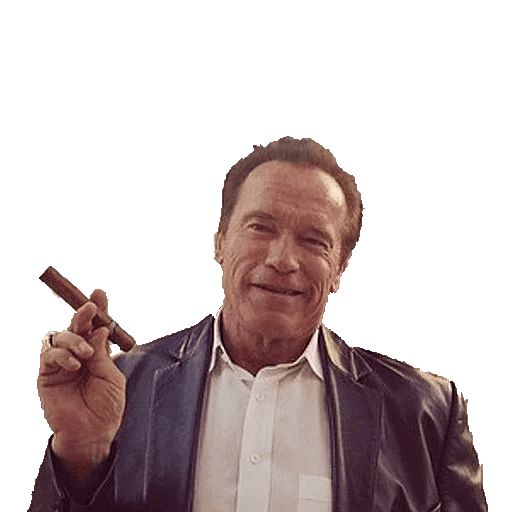 Sticker “Arnold Schwarzenegger-11”