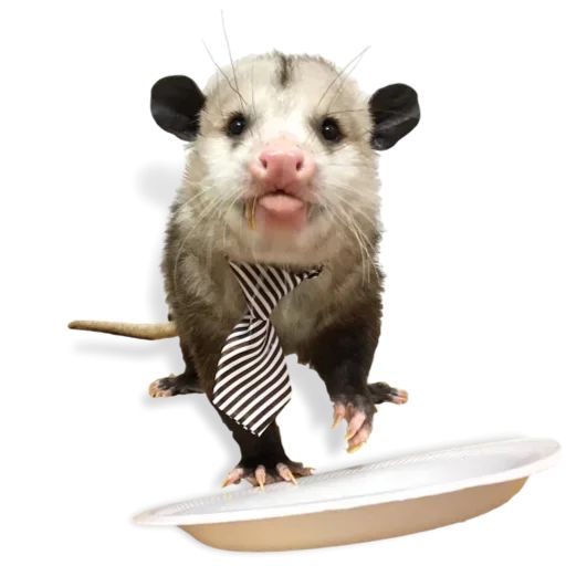 Sticker “Cute Possum-8”