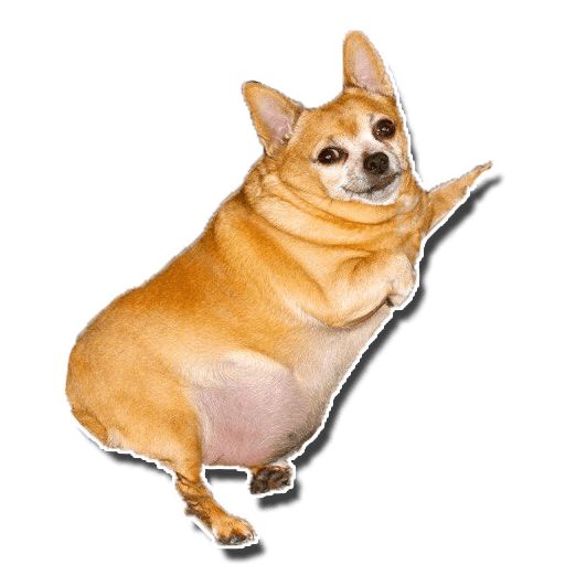 Sticker “Fat Dog-3”