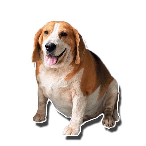 Sticker “Fat Dog-4”